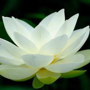 Meet your Posher, Marina